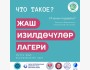 Летний научный лагерь в Бишкеке
