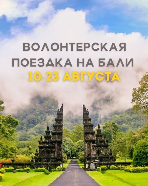 Волонтерская поездка на Бали