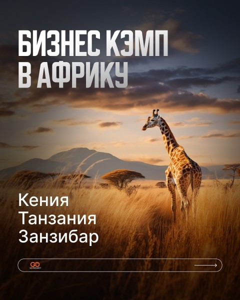 Бизнес кэмп в Африку