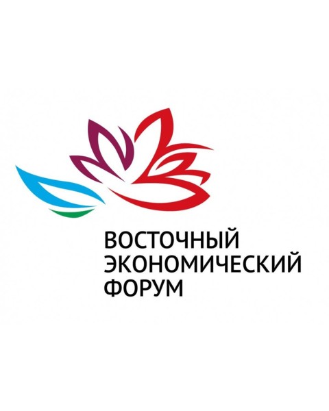 Восточный экономический форум 2025 во Владивостоке