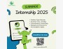 Программа стажировок Summer Internship 2025