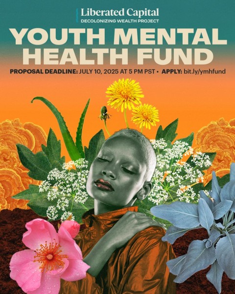 Открыто: Фонд психического здоровья молодежи 2025! (Now Open: Youth Mental Health Fund 2025)