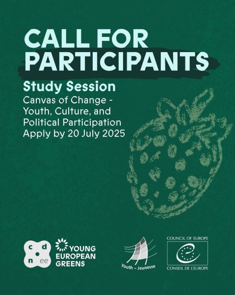 Канва перемен: молодежь, культура и участие в политической жизни | Canvas of change: Youth, Culture, and Political Participation