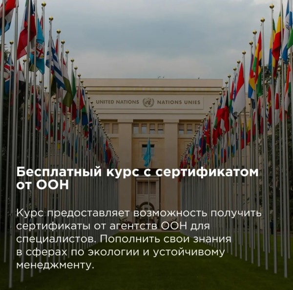 Бесплатный курс с сертификатом от ООН. Trade and Circular Economy