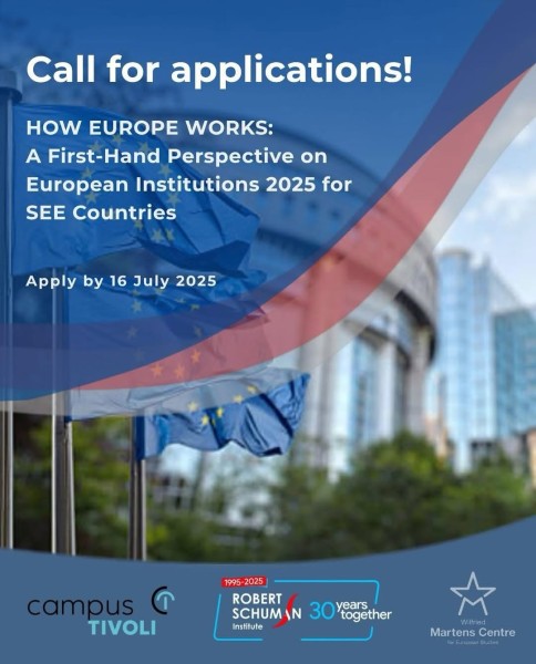 Семинары «How Europe Works: A Firts-Hand Perspective on EU Institutions» в Европе
