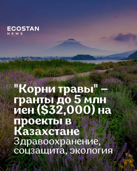 Приём заявок на участие в грантовой программе #KUSANONE