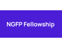 Программа стипендий Next Generation Foresight Practitioners Fellowship 2025