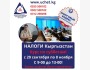 Курс «Налоги Кыргызстан»│1 поток с 20.09.2025