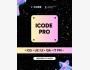 iCode Pro 2025: углублённый курс для IT-практиков!