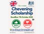 Программа стипендий Chevening Scholarship в Великобритании