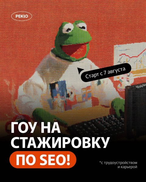 Стажировки в SEO-отдел компании Peklo