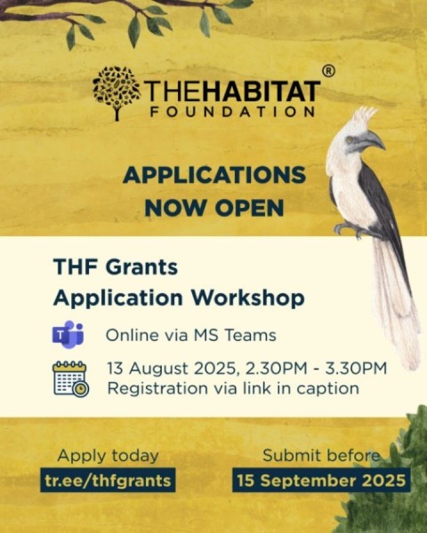 Семинар по подаче заявок на гранты THF 2025