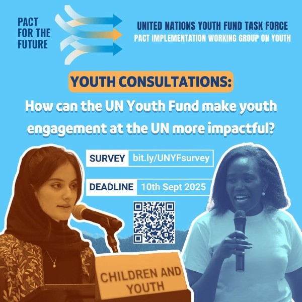 Программа Youth Consultations