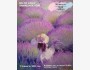 Мастер-класс акриловыми красками "Лавандовое поле" | Бишкек 30.08.2025