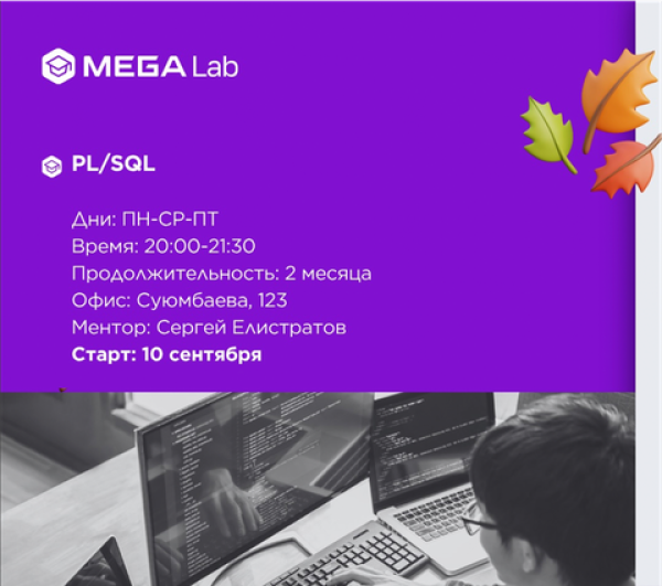 Курс «Тестирование ПО» от MEGALab
