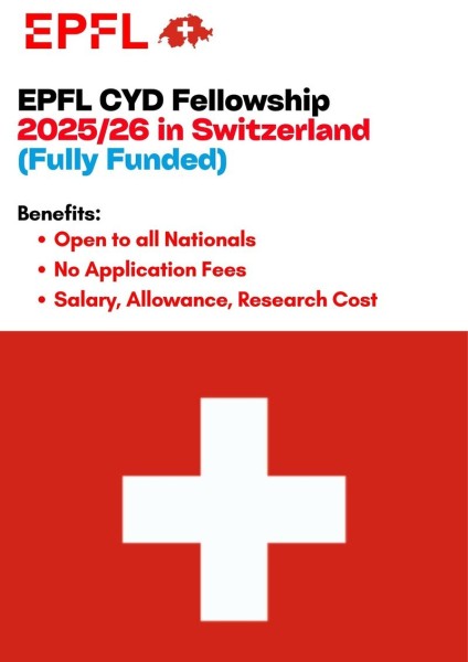 Программа стипендий CYD Fellowships 2025