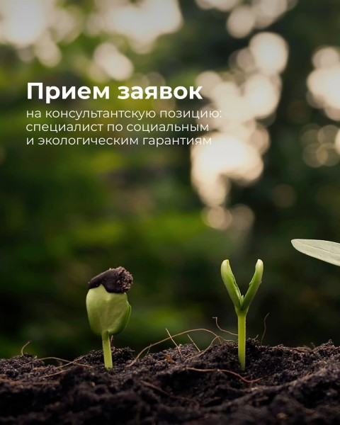 Прием заявок на консультантскую позицию: специалист по социальным и экологическим гарантиям