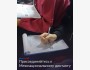 Межнациональный диктант по отрывку произведения К.М. Симонова «Живые и мёртвые»