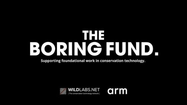 Программа грантов Boring Fund 2025