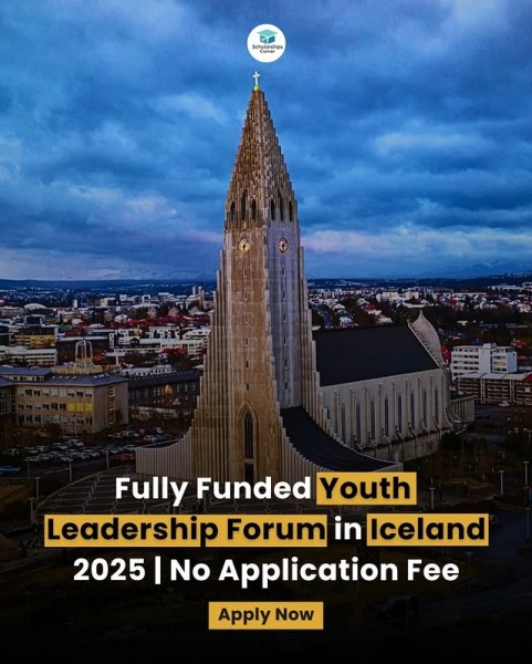 Программа Youth Leadership Program 2025 в Исландии