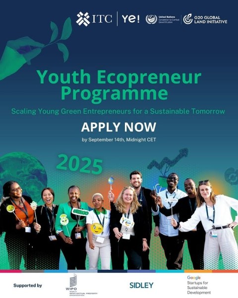 Программа молодых предпринимателей YECO 2025