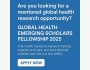 Программа стипендий Global Health Emerging Scholars Fellowship 2025