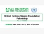 Программа стипендий UN–Nippon Fellowship 2026