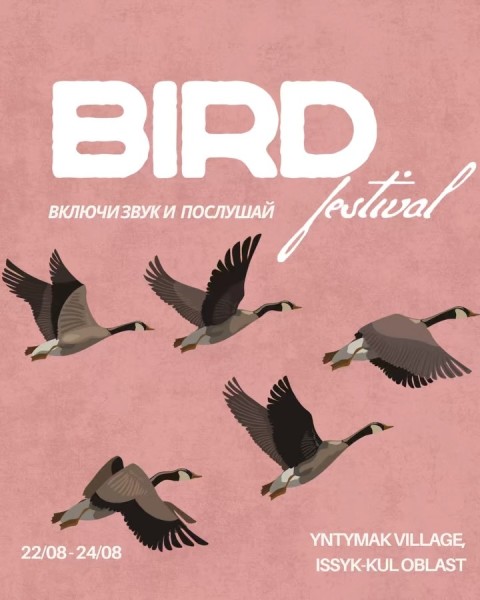 BIRD FEST — трёхдневный фестиваль наблюдения за птицами, экологического просвещения и единения с природой 