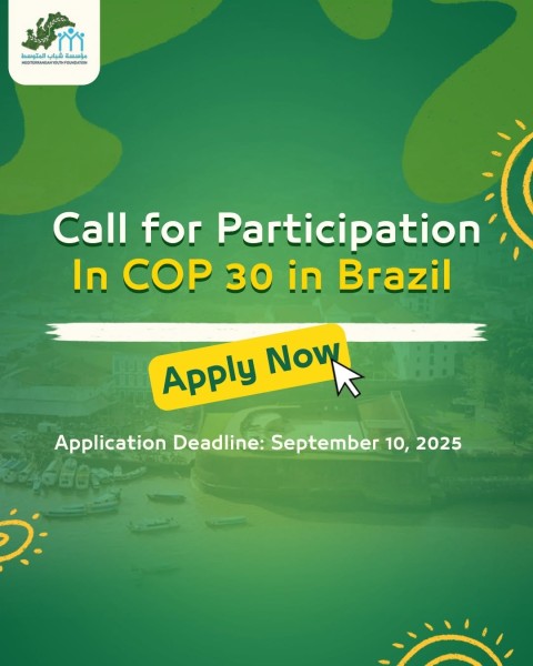 Программа Participate in COP 30 в Бразилии