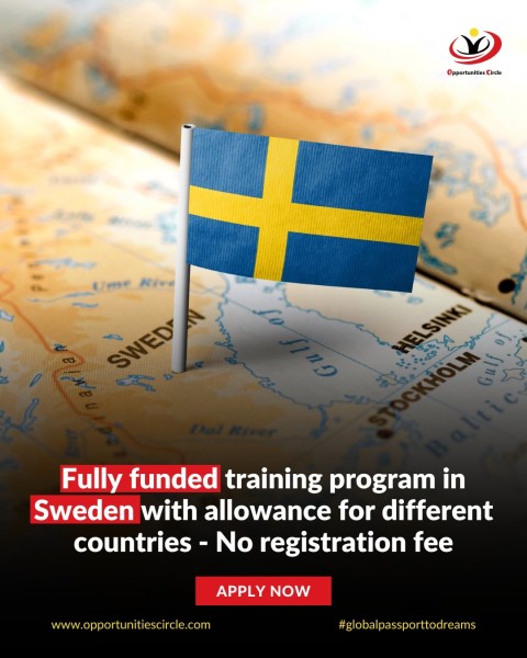 Программа стипендий Swedish Institute SAYP Training Program 2025 в Швеции