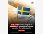Программа стипендий Swedish Institute SAYP Training Program 2025 в Швеции