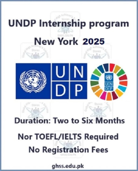 Программа стажировок UNDP Internship program 2025-2026 в США