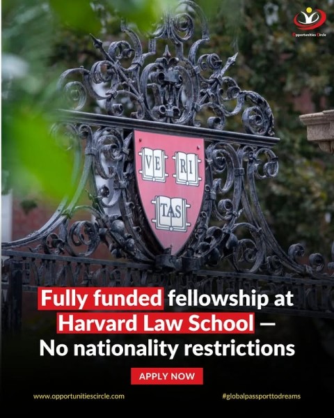Программа стипендий Harvard Law School Fellowship 2026 в США