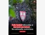 Программа стипендий Harvard Law School Fellowship 2026 в США