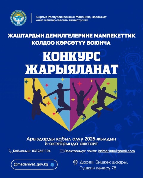 Государственная поддержка молодежных инициатив на 2025-2028 годы
