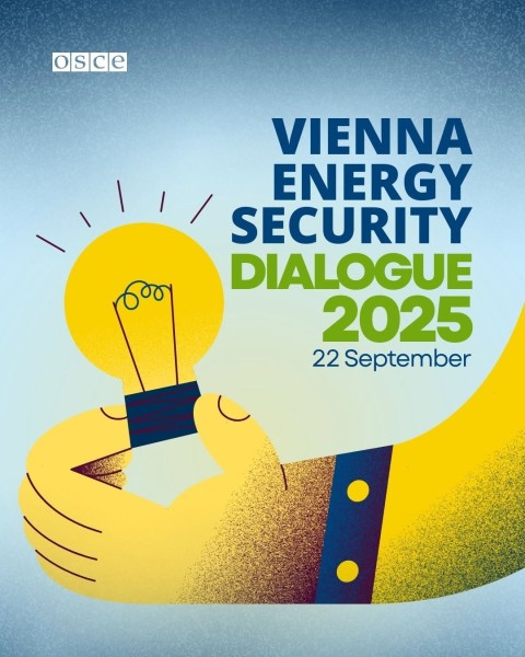 Программа Vienna Energy Security Dialogue 2025