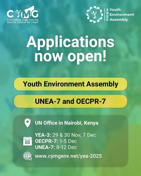 Программа Youth Environment Assembly 2025