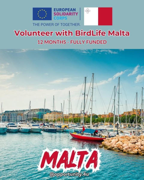 Программа волонтерства Volunteer with BirdLife Malta