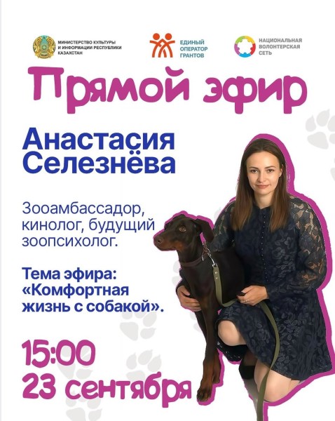 Прямой эфир: «Комфортная жизнь с собакой» | Селезнёва Анастасия Константиновна