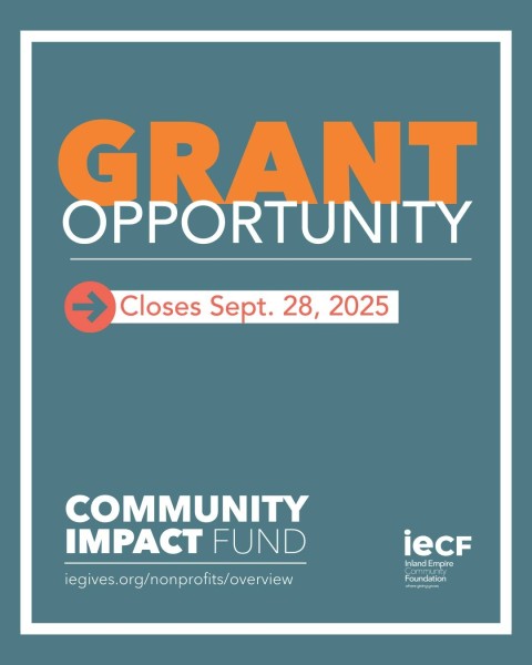 Программа грантов для местных некоммерческих организаций