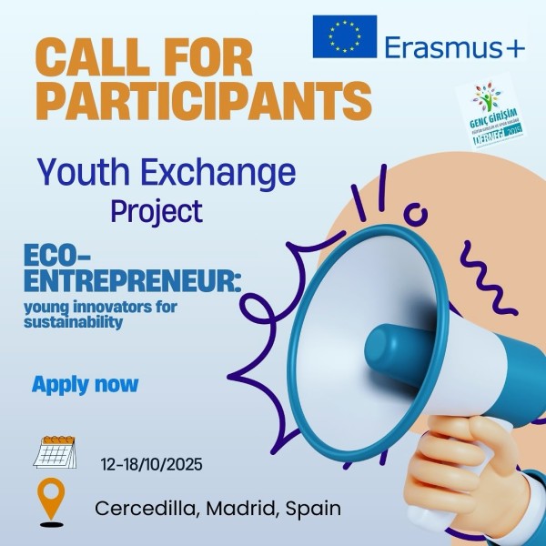 Программа Youth Exchange Project