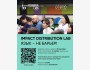 Impact Distribution Lab 2025 для продюсеров и режиссеров | Язык - не барьер