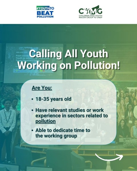 Программа Youth to Beat Pollution