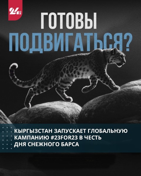 Кампания #23for23 в честь Дня Снежного Барса