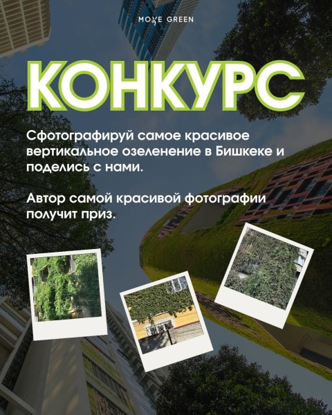 Конкурс фотографий вертикальных озеленений Бишкека
