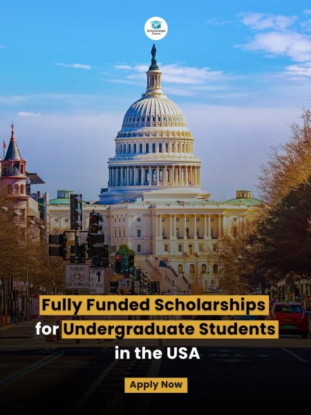 Программа стипендий University of Miami Stamps Scholarship 2026 в США