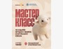 Мастер-класс по созданию игрушек, магнитов и брелков из натурального войлока