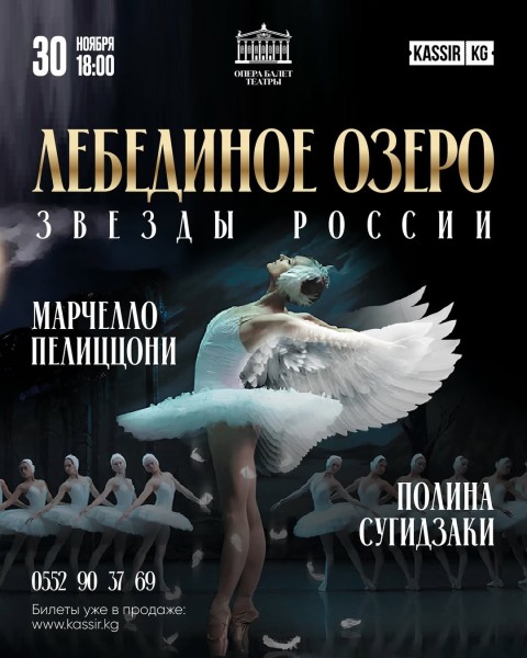 Балет: Чайковский «ЛЕБЕДИНОЕ ОЗЕРО»