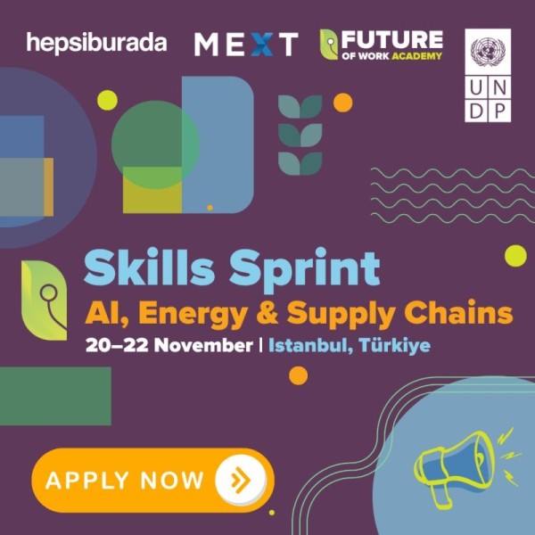 Программа AI Fellowship 2025 в Турции