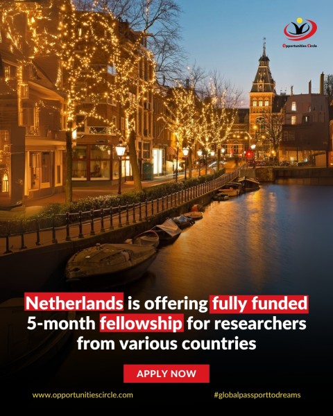 Программа стипендий NIAS Safe Haven Fellowship 2025 в Нидерландах